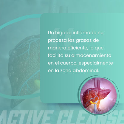 Active Cleanse – Apoyo natural para tu bienestar digestivo